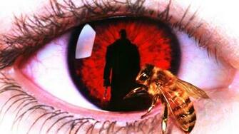 Candyman HD Wallpaper Background Image Id