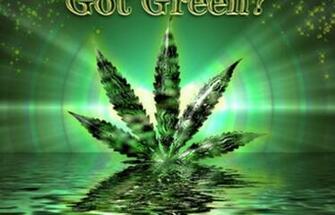 Greenish Weed Leaf HD Wallpaper