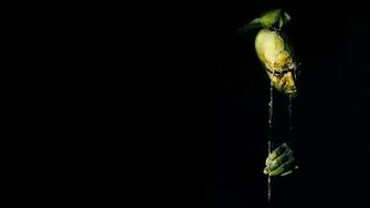 Apocalypse Now Computer Wallpaper Desktop Background