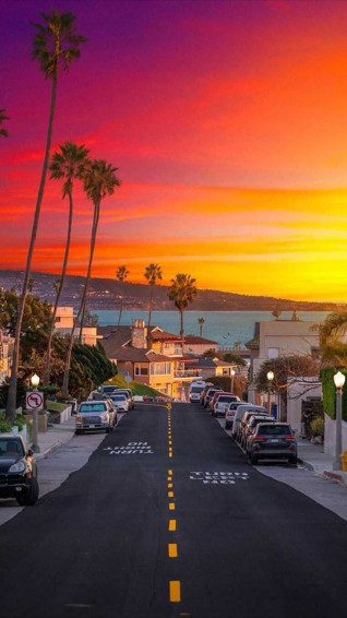 California Wallpaper Discover More Street Palm