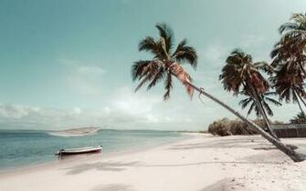 Bazaruto Archipelago Mozambique Pictures Image