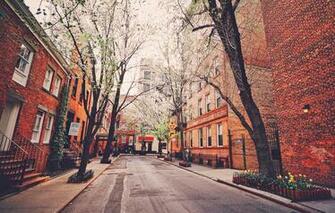United States New York Street Trees Garden In Spring Wallpaper