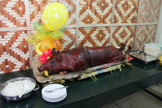 Succulent Lechon Wallpaper