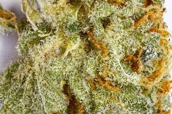 Pineapple Express Wallpaper