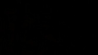 Black Wallpaper Desktop Windows