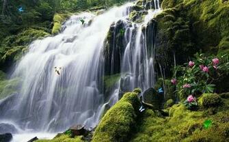 User Res Of Exotic Waterfall Screensaver