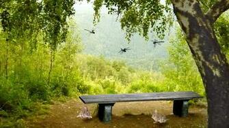 HD Nature Wallpaper