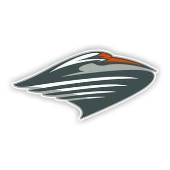 HD Wallpaper Miami Hurricanes Football Screensaver Desktop X