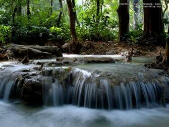 Email This Share To