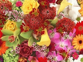 Bouquet Flowers Wallpaper HD Topwallpaper