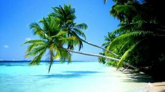 Desktop Background Beach Tropical Wallpaper Lock Screen