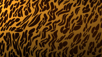 Leopard Print Wallpaper HD