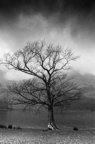 Sadness Pictures HD Image