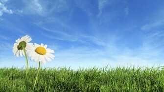 Spring Wallpaper