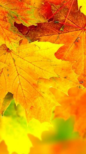 iPhone Wallpaper Awesome Autumn