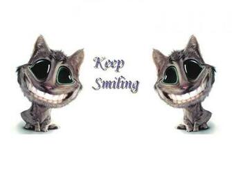 Funny Animals Wallpaper Computer S