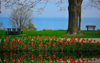 Enjoy The Most Beautiful Spring With Nature S Splendors Wallpaper