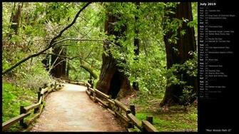 Mlewallpaper Muir Woods Path Ii Calendar
