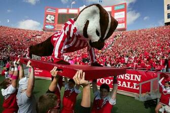 Bucky Badger Wallpaper Buy Now