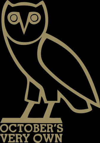 Ovo Owl Image Pictures Becuo