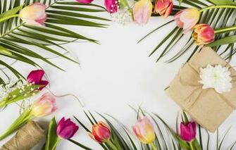 Wallpaper Flowers Colorful Tulips Pink Wood
