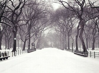 Snowy Central Park Wallpaper Myspace Background