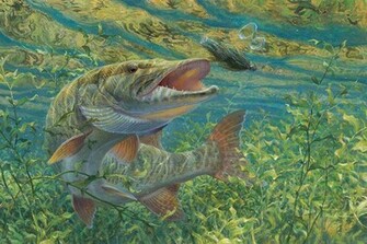Muskiefirst Muskies Desktop Background General Discussion