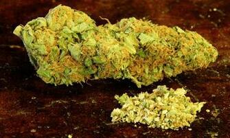 Og Kush Background Wallpaper