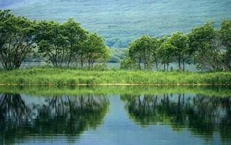 Green Scenery Wallpaper Background
