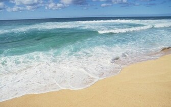 Hawaii Beach Shores Wallpaper In Nature With All