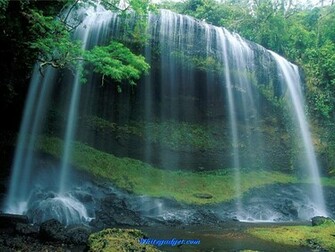 Nature Wallpaper Desktop Jpg