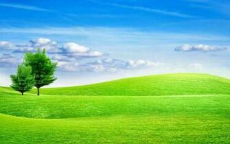 This Gambar Wallpaper Pohon Di Lapangan Rumput Alam HD