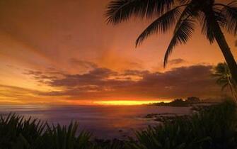 Tropical Sunset Wallpaper Landscape Nature In Jpg