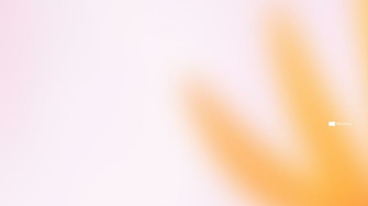 Windows Summer Blurred Wallpaper By Nofearl