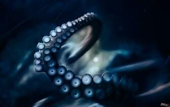 Octopuses Tentacles Cephalopod Wallpaper