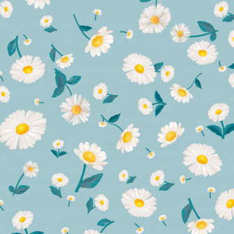 Daisy Aesthetic Wallpaper