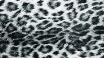 Black Cheetah Wallpaper