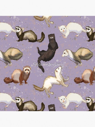 Playful Ferrets Art Board Print By Stormslegacy