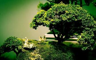 Chinese Figurines Under Bonsai Tree Wallpaper