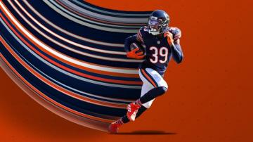 Bears Wallpaper On