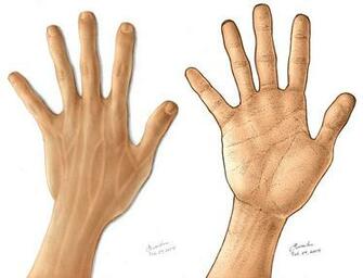 Two Hands