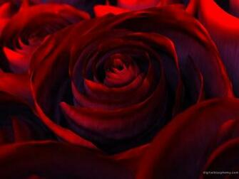 Digital Blasphemy 3d Wallpaper Hybrid Valentines Day Other