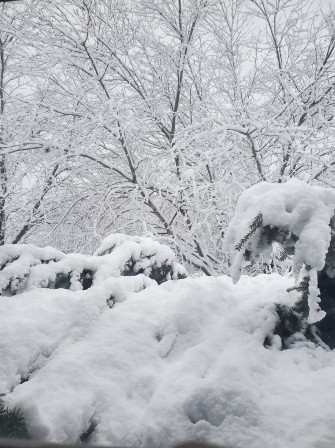 Summary Of The January Snow Event