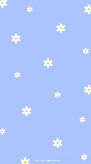 Cute Spring Wallpaper Ideas Daisy Blue I Take