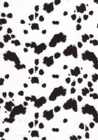 Topshop Unique Aw11 Animal Print Wallpaper iPhone Prints