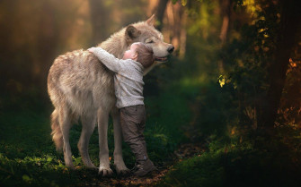 Big Arctic Dog Rlwknve9ga84fklz Wallpaper
