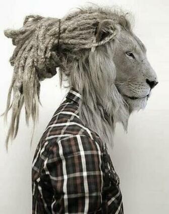 Dreadlocks HDq Wallpaper Quality HD
