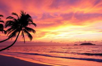 Tropical Island Sunset Wallpaper