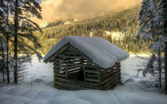 Wood House Wallpaper