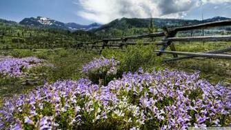 Ranch In Montana Wallpaper